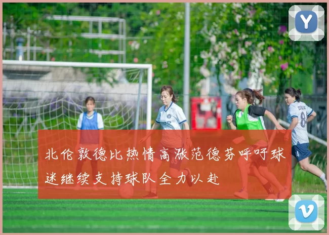 北伦敦德比热情高涨范德芬呼吁球迷继续支持球队全力以赴