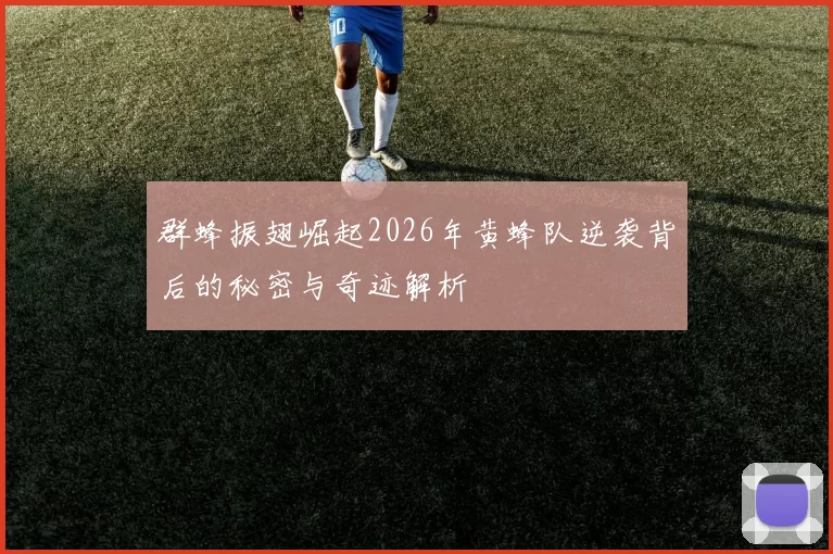 群蜂振翅崛起2026年黄蜂队逆袭背后的秘密与奇迹解析